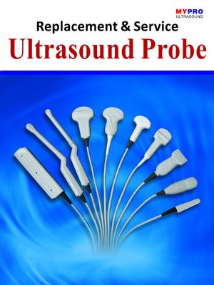 クラスII 超音波トランスデューサー RAB2-5L GE Voluson 730 互換性 4D 凸探査機