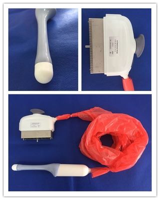 GE RIC5-9-D ボルソン E6 精密な医療診断のためのトランスヴァジナル超音波探知器