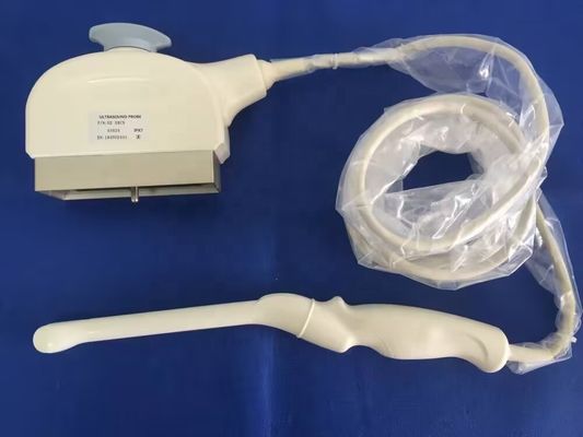 GE E8Cs ロギク P5/ P6/ P6 ワイヤレス接続付き トランスヴァジナル超音波探査機
