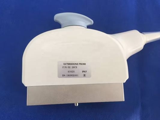 GE E8Cs ロギク P5/ P6/ P6 ワイヤレス接続付き トランスヴァジナル超音波探査機